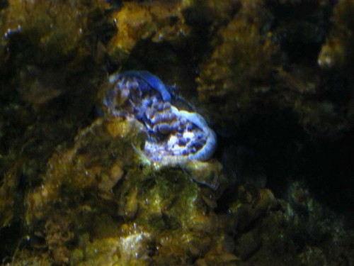 IMG_4803.JPG