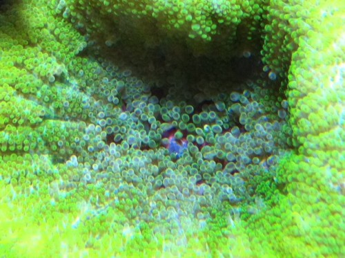 foto7.JPG