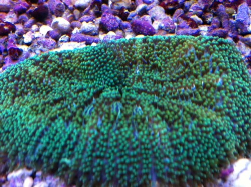 foto6.JPG