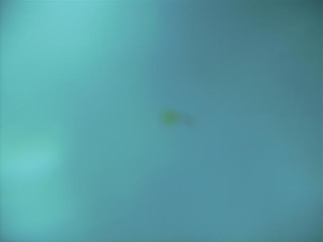 PICT0132 (Small).JPG