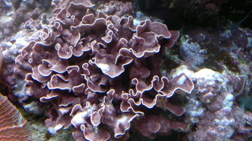 20022012243.jpg
