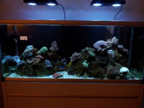 20120220_184758.jpg