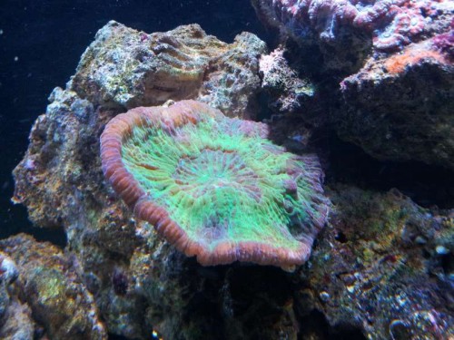 20120220_184923.jpg