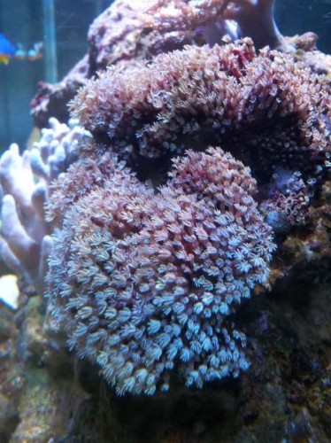 20120220_185633.jpg