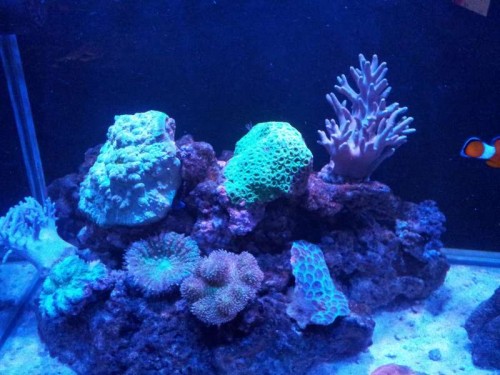 20120220_194949.jpg