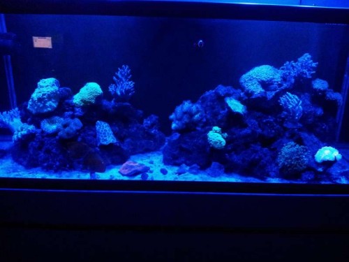 20120220_200318.jpg