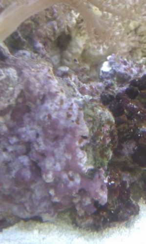 IMAG0527.jpg
