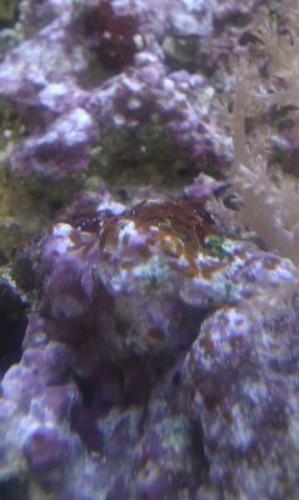 IMAG0528.jpg