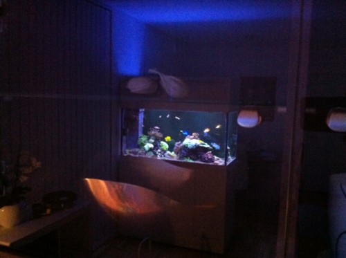foto11.JPG