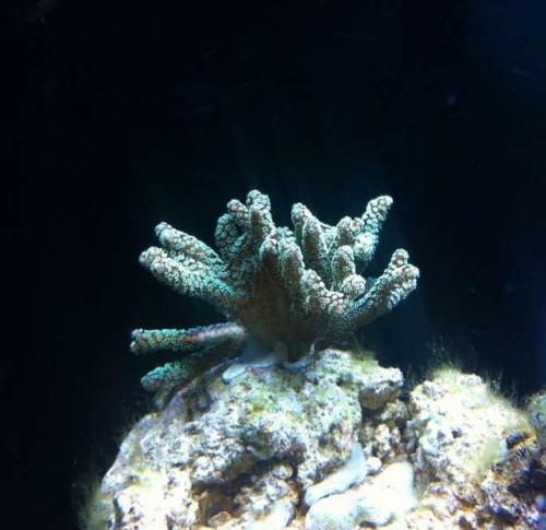 IMG_1288.JPG