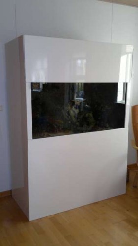 2012-02-25-011.jpg