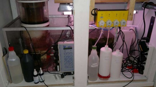 2012-02-25-006.jpg