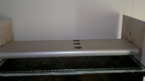 2012-02-25-014.jpg