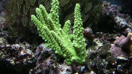 2012-02-25-023.jpg