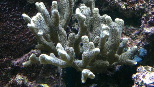 2012-02-25-022.jpg