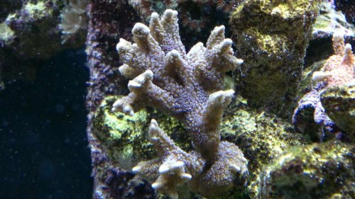 2012-02-25-025.jpg