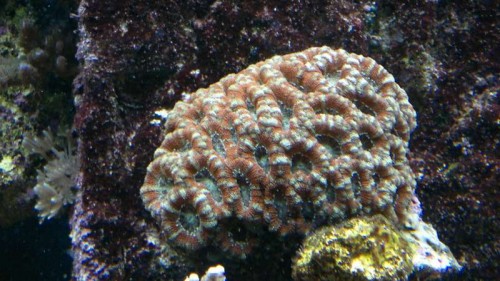 2012-02-25-026.jpg