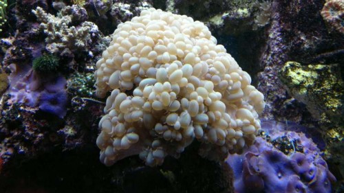 2012-02-25-027.jpg