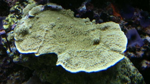 2012-02-25-036.jpg