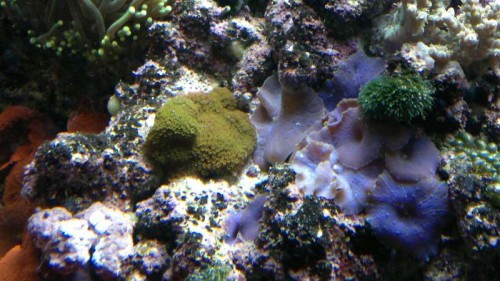 2012-02-25-034.jpg