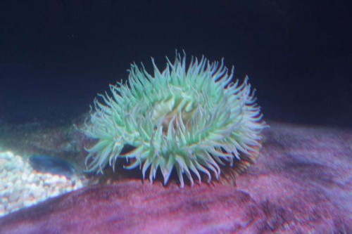 IMG_3040.JPG