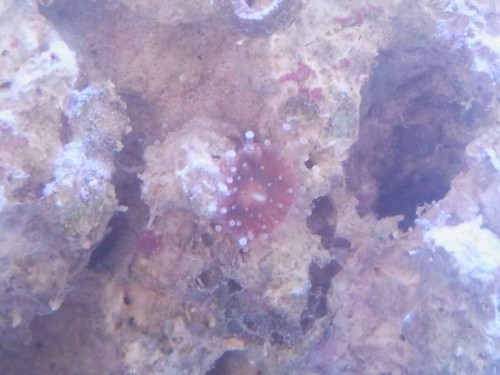 2012-03-03 10.01.24.jpg