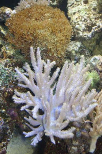 IMG_2952.jpg