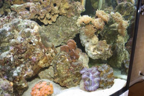 IMG_2975.JPG