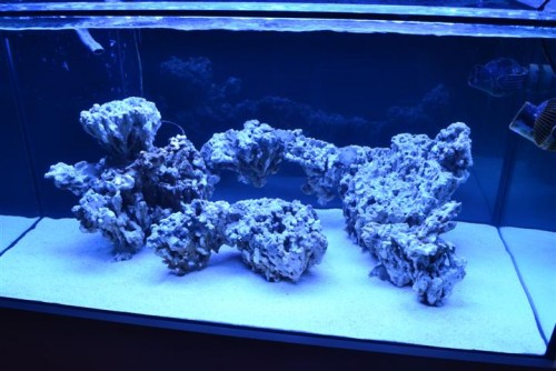 275l Udgave 2.JPG