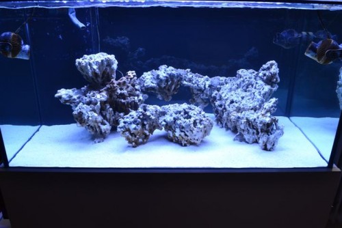 275l Udgave 2 (2).JPG