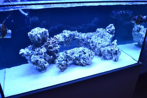 275l Udgave 2 (3).JPG