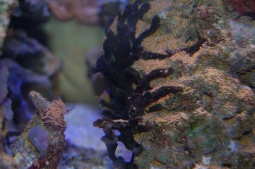 DSC_25930042.jpg