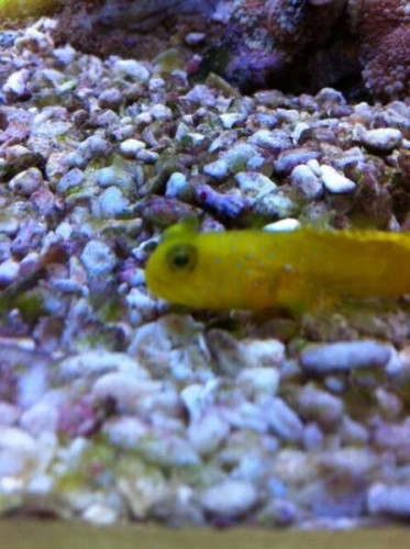 foto9.JPG