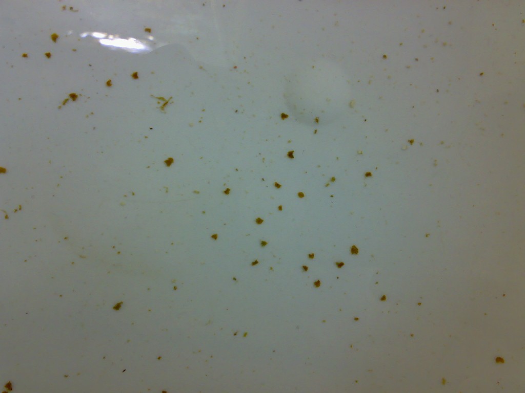 25012007142.jpg