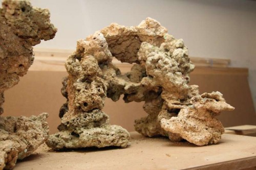 IMG_2666.JPG (48.02 KiB) Vist 2602 gange Ca. 35 cm høj