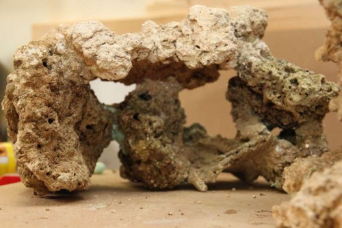 IMG_2665.JPG (49.3 KiB) Vist 2602 gange Ca. 25 cm høj