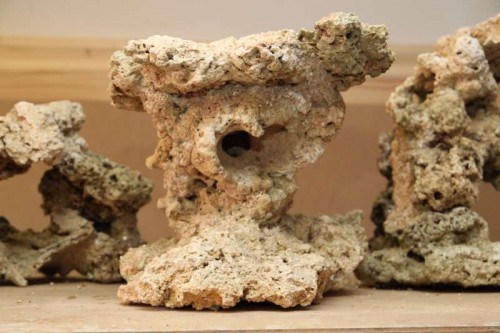 IMG_2667.JPG (49.57 KiB) Vist 2602 gange Ca. 30 cm høj