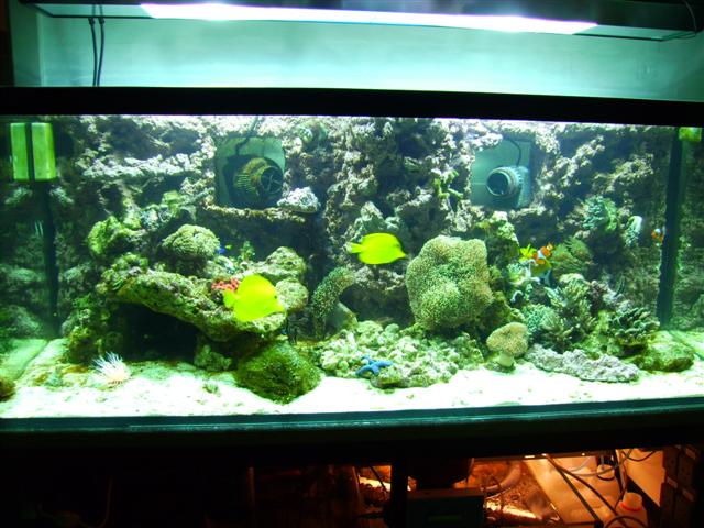 PICT0151 (Small).JPG