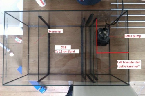 IMAG0155 (Medium).jpg