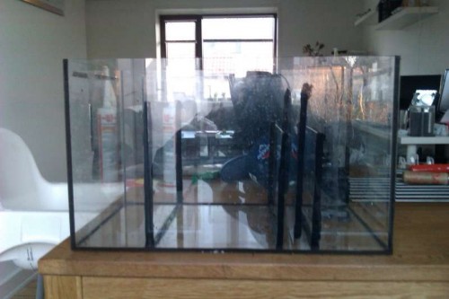 IMAG0156 (Medium).jpg