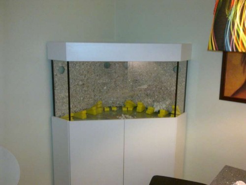 Full shot af akvariet inden vand