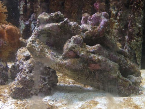 3 April 2012