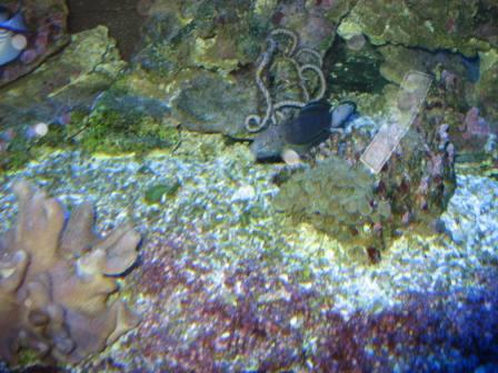IMG_2742.JPG