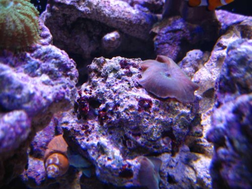 IMG_2874.JPG