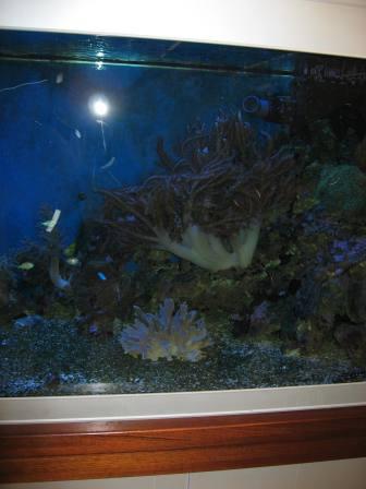 IMG_2726.JPG