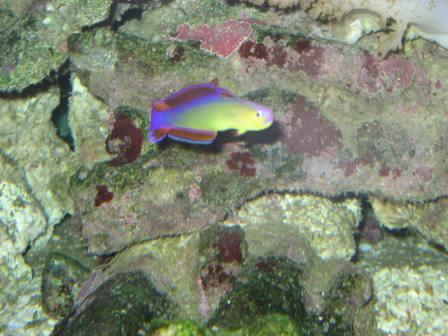 IMG_2724.JPG