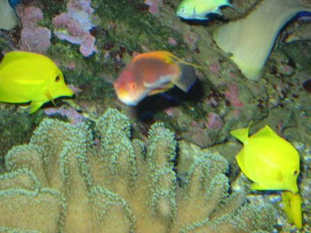 IMG_2719.JPG