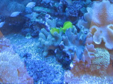 IMG_2712.JPG