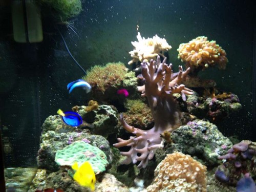 FTS 002.jpg
