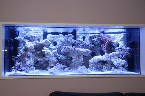 IMG_2836.JPG (47.08 KiB) Vist 2262 gange Er der liv, eller ?